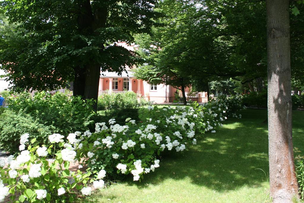 Willa Różana Naleczow Exterior foto