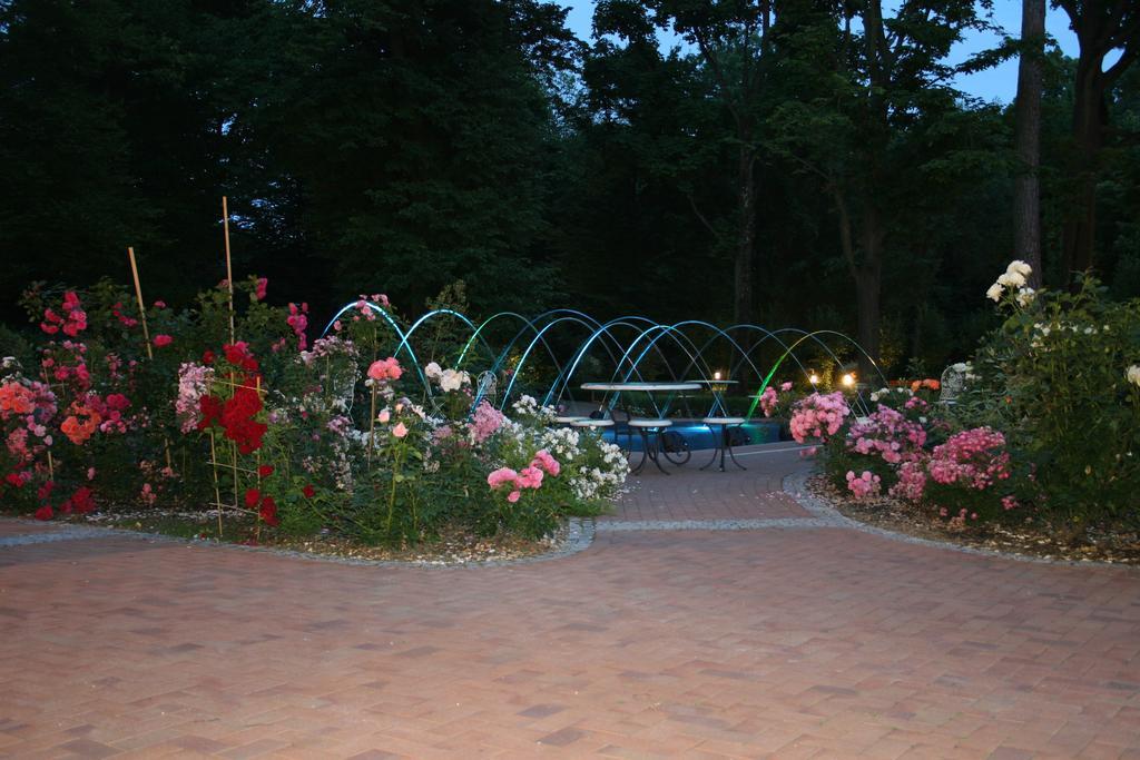 Willa Różana Naleczow Exterior foto